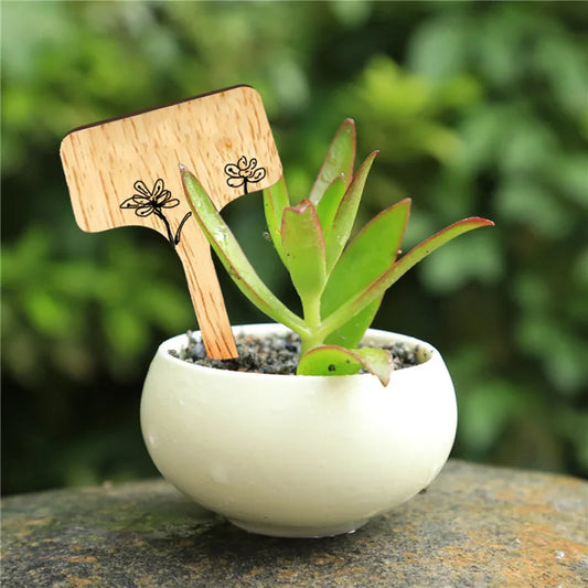 Eco-Friendly Bamboo Plant Labels - T-Type Gardening Tags for Herbs & Succulents (10/20/30PCS)