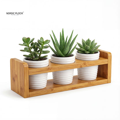 Nordic 3-Tier Bamboo Plant Stand - Desktop Succulent Holder & Organizer - Eco-Friendly Home Decor
